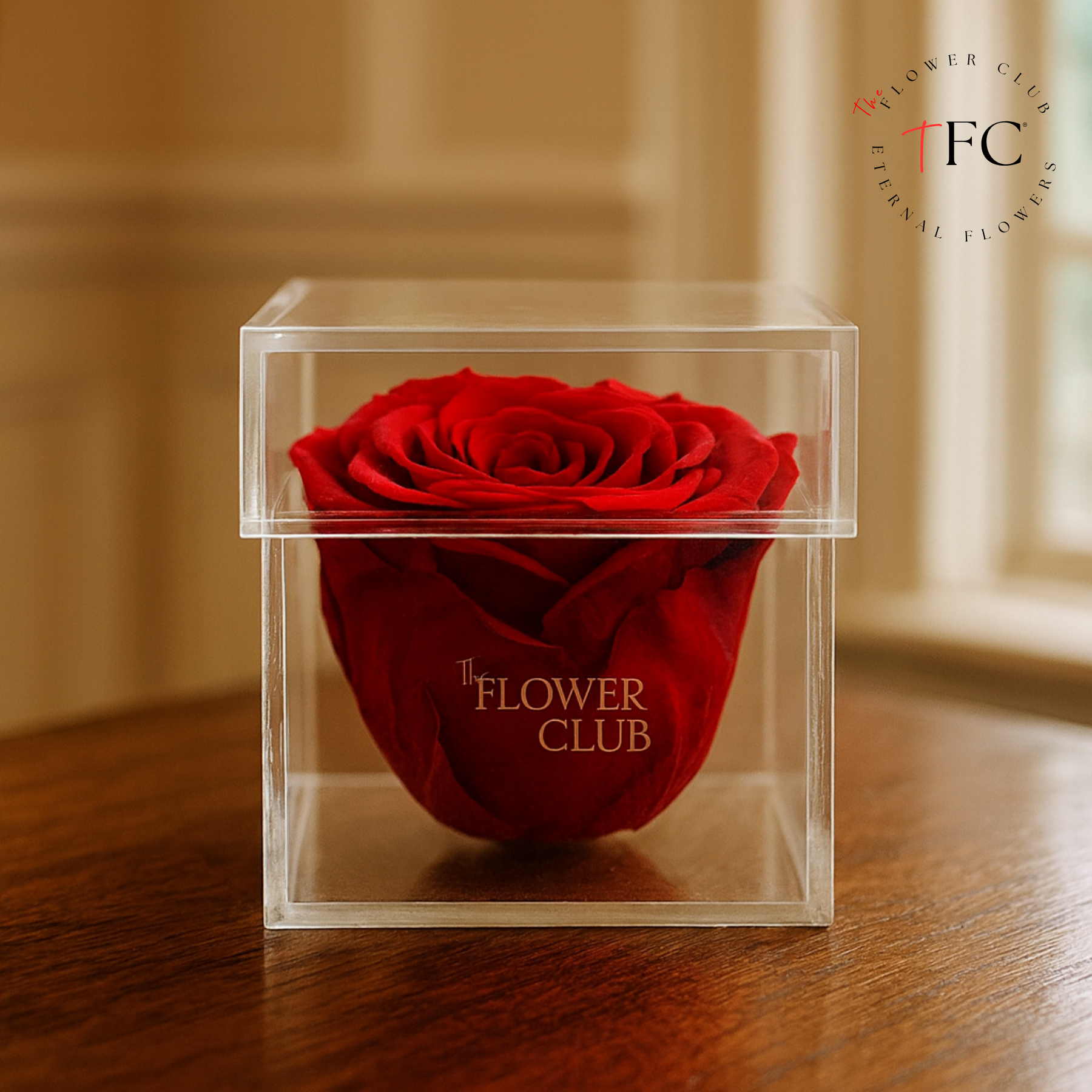 Single Red Preserved Rose