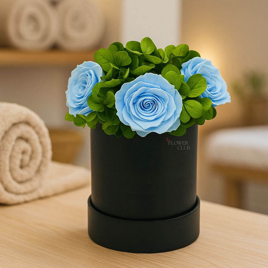 Garden Box Rosas Celeste