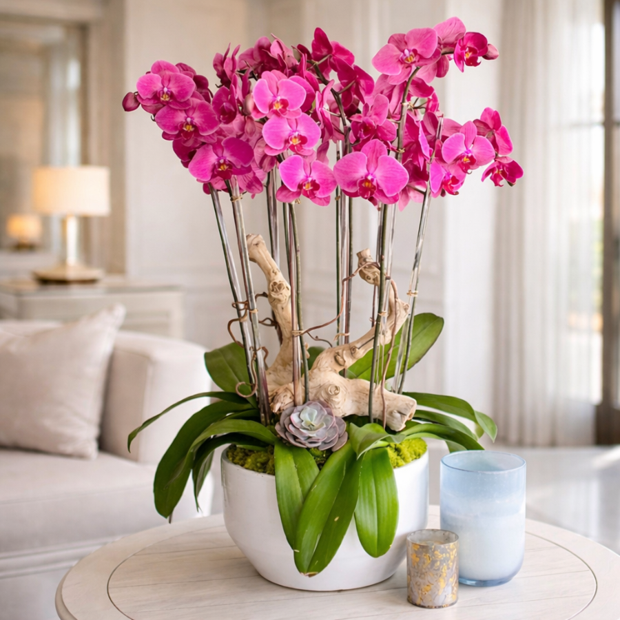 Bosque  de Orquídeas Vivas