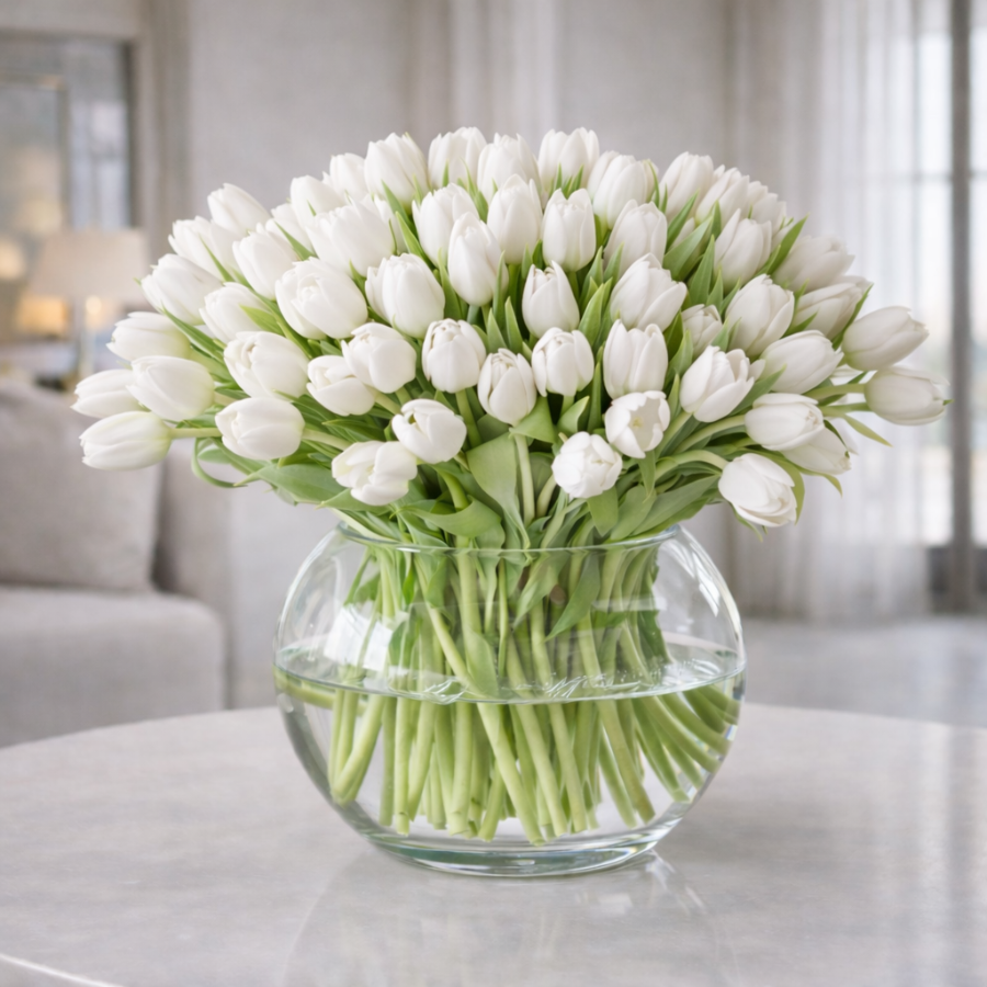 70 Tulipanes Frescos Blancos