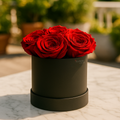Cute Box | Rosas Rojas