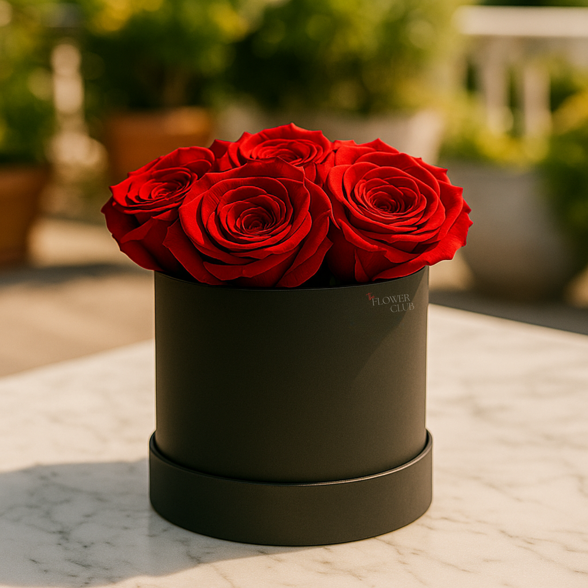 Cute Box | Rosas Rojas