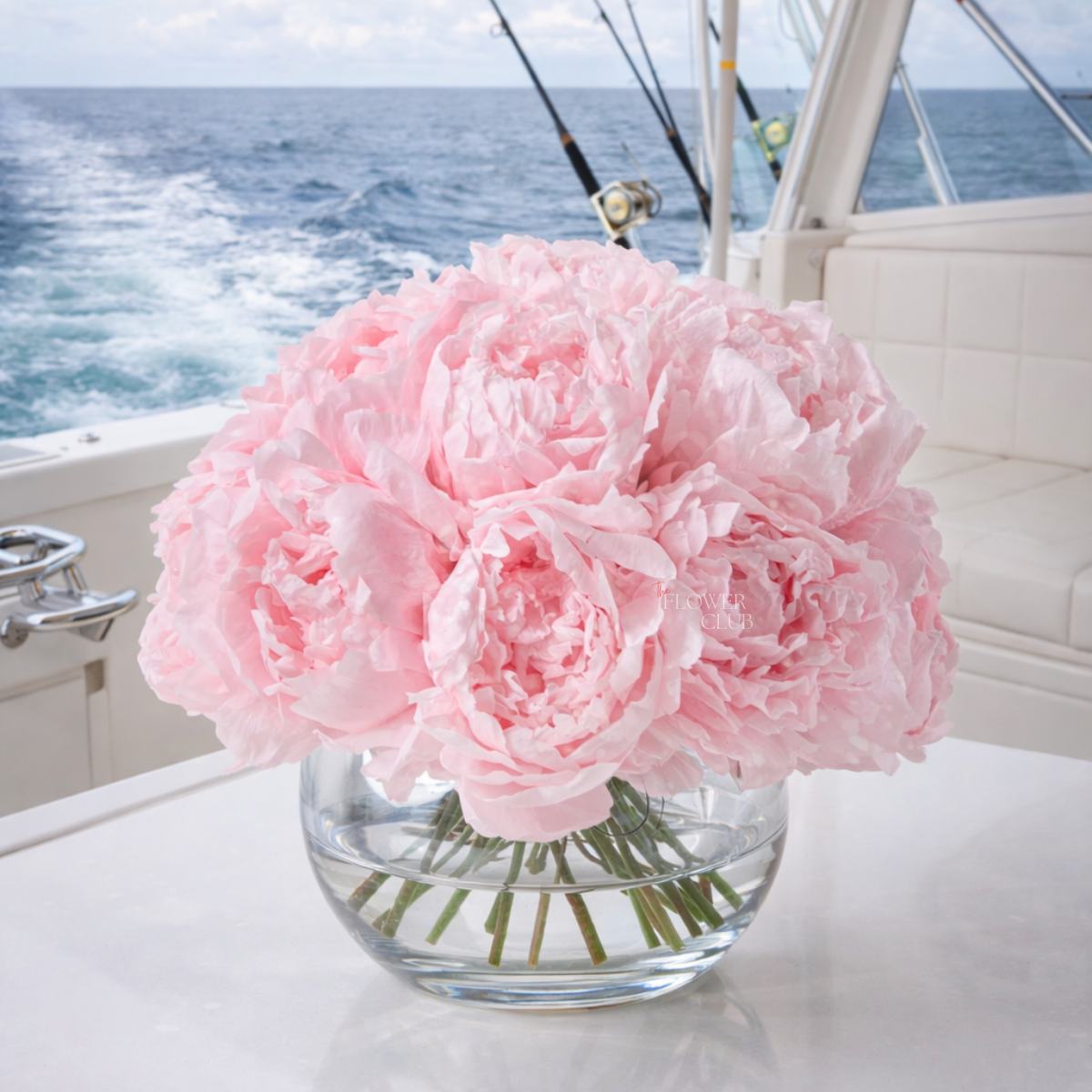 Peonias Preservadas Rosa