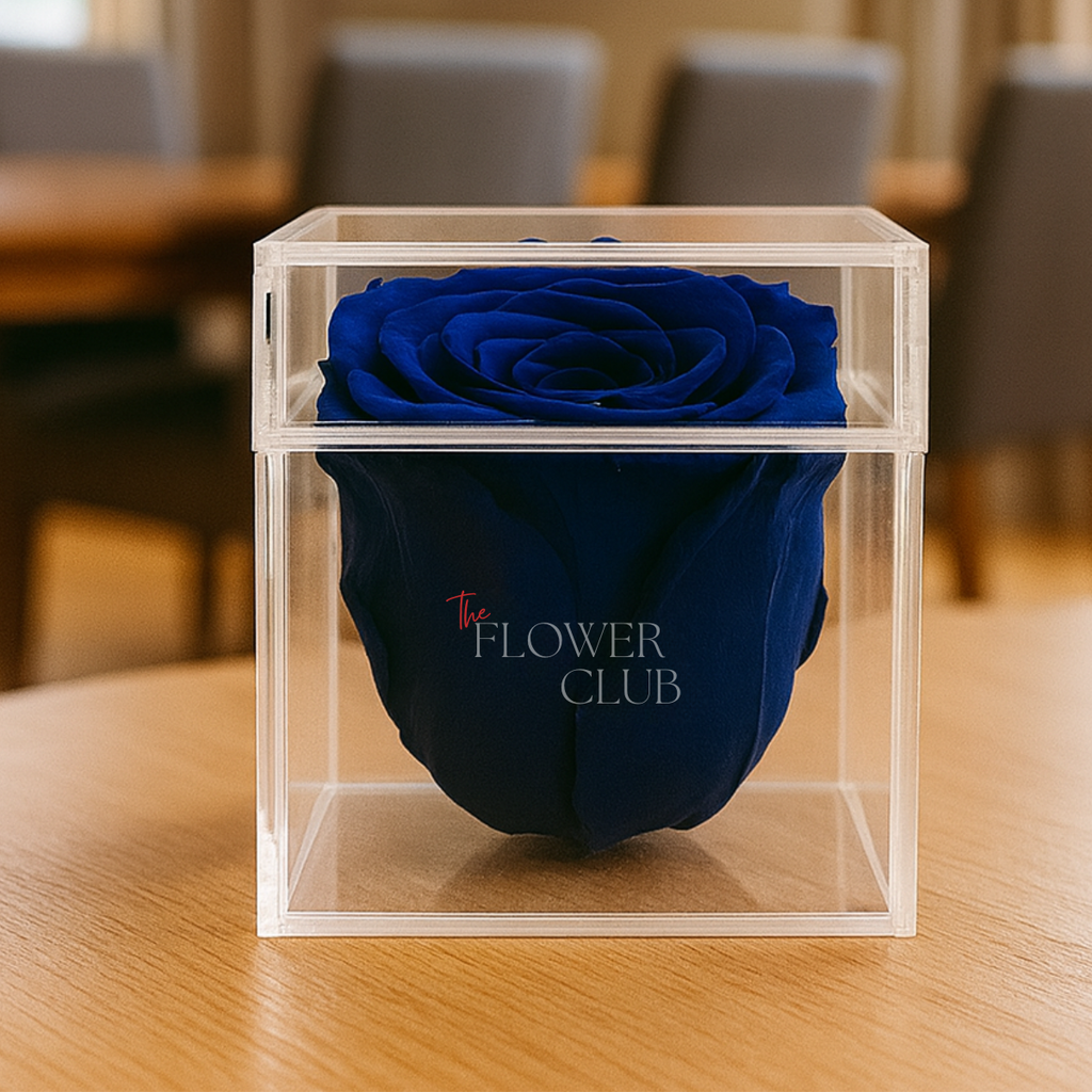 Single Royal Blue Preserved Rose