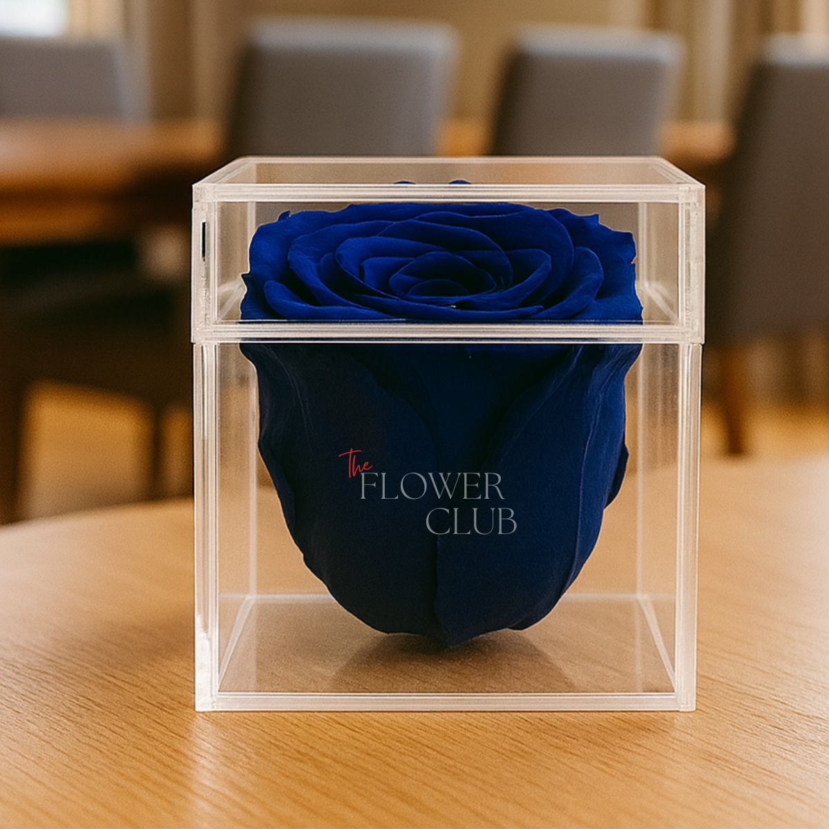 Single Royal Blue Preserved Rose