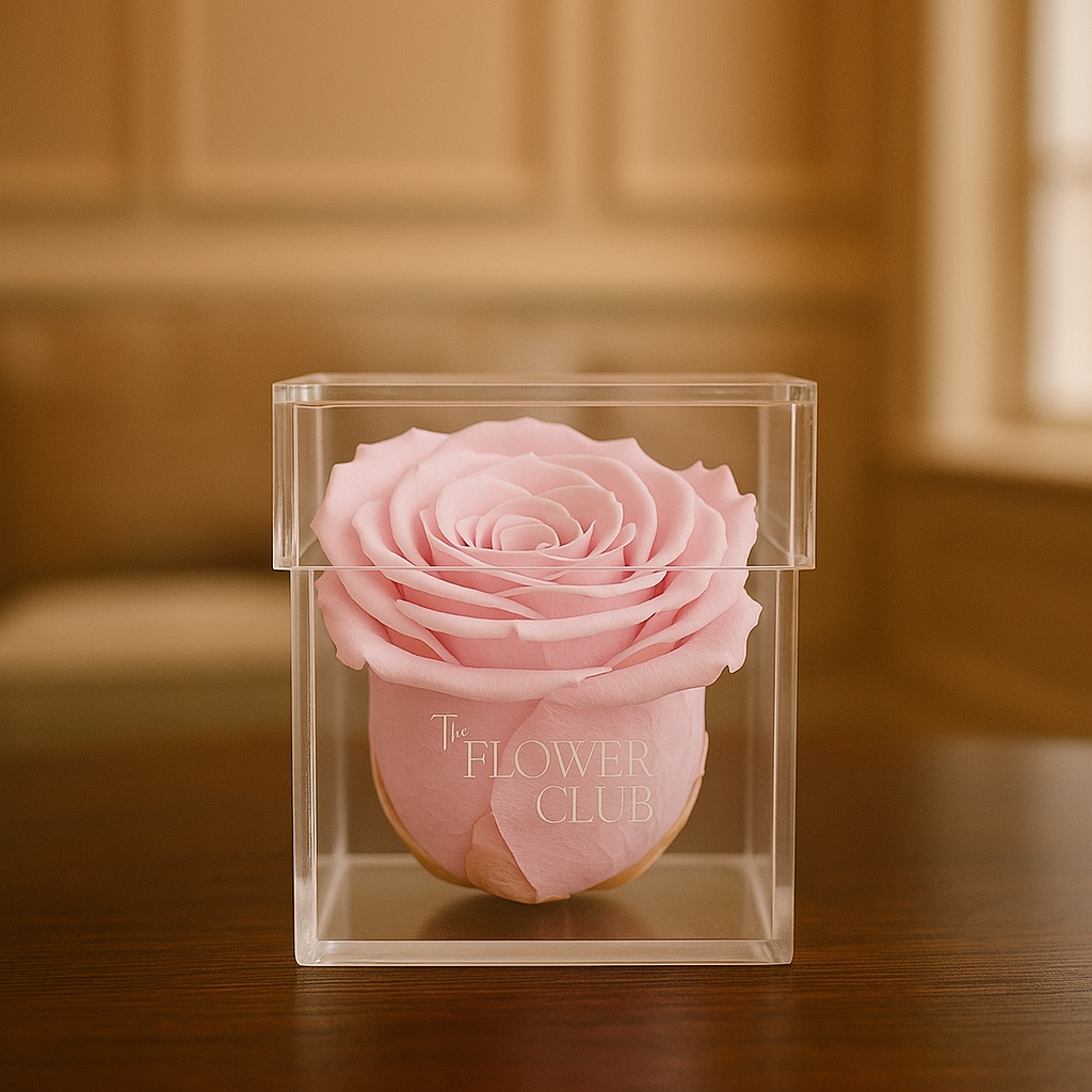 Pink Preserved Rose